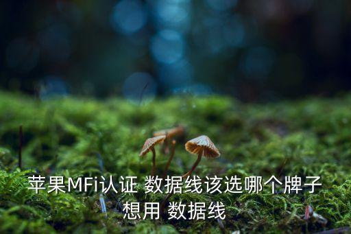 蘋果MFi認證 數(shù)據(jù)線該選哪個牌子想用 數(shù)據(jù)線