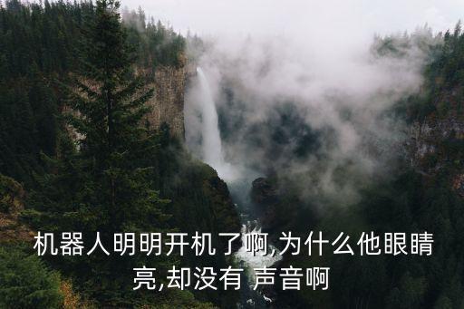 機(jī)器人明明開機(jī)了啊,為什么他眼睛亮,卻沒有 聲音啊