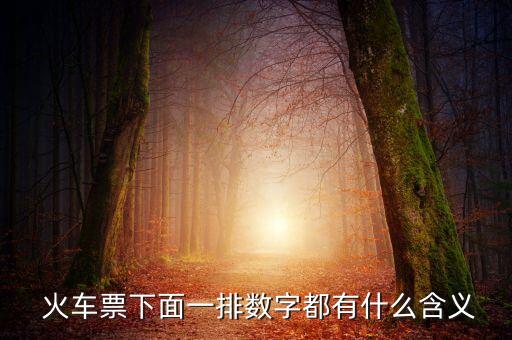 火車(chē)票上有哪些數(shù)據(jù),能提供火車(chē)票大數(shù)據(jù)的是