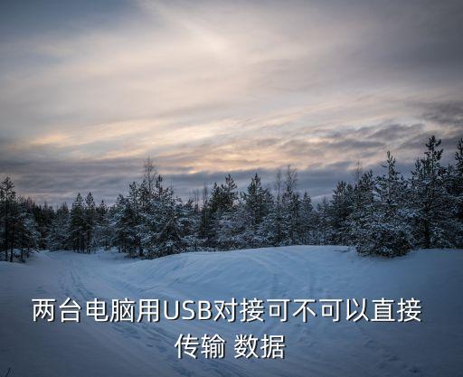 usb數(shù)據(jù)傳輸過程,有沒有無線usb數(shù)據(jù)傳輸器