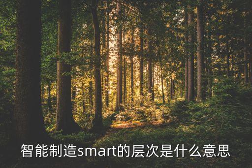 智能制造smart的層次是什么意思