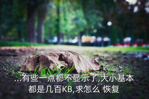 ...有些一點(diǎn)都不顯示了,大小基本都是幾百KB,求怎么 恢復(fù)