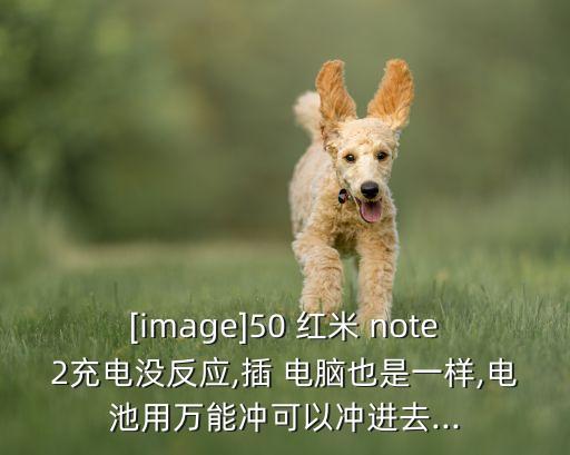 紅米note2數(shù)據(jù)線連接電腦沒反應(yīng),紅米k30數(shù)據(jù)線連接電腦
