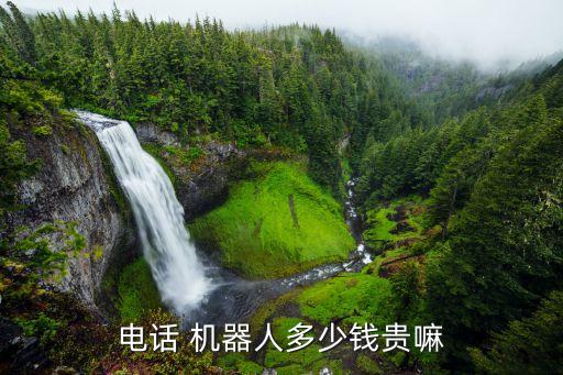 電話 機(jī)器人多少錢貴嘛