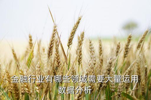  金融行業(yè)有哪些領(lǐng)域需要大量運(yùn)用 數(shù)據(jù)分析