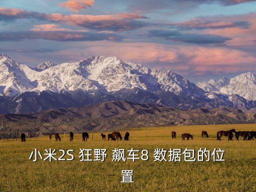 小米2S 狂野 飆車(chē)8 數(shù)據(jù)包的位置