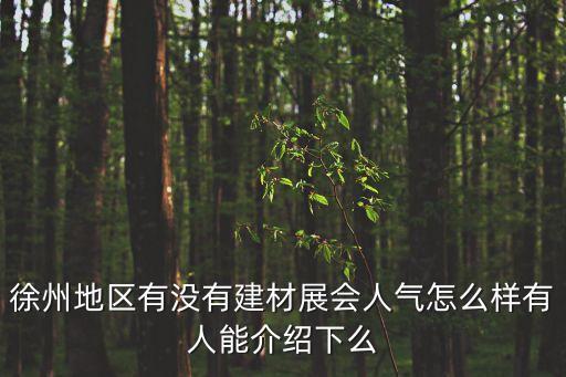 徐州地區(qū)有沒有建材展會人氣怎么樣有人能介紹下么
