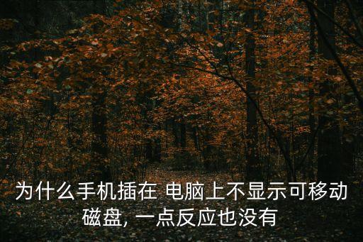 為什么手機(jī)插在 電腦上不顯示可移動磁盤, 一點(diǎn)反應(yīng)也沒有
