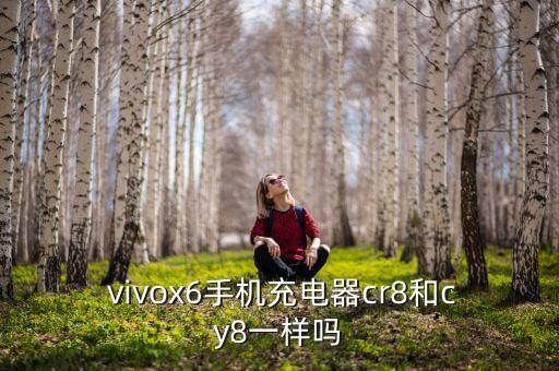  vivox6手機(jī)充電器cr8和cy8一樣嗎