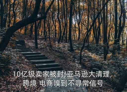 10億級(jí)賣家被封!亞馬遜大清理, 跨境 電商嗅到不尋常信號(hào)