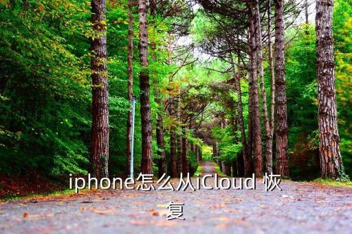 iphone怎么從iCloud 恢復(fù)