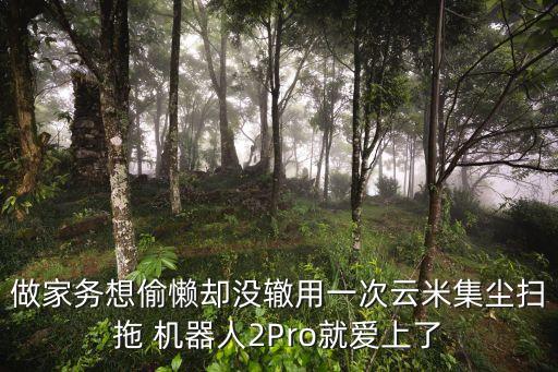 做家務(wù)想偷懶卻沒(méi)轍用一次云米集塵掃拖 機(jī)器人2Pro就愛(ài)上了