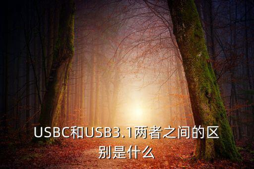 USBC和USB3.1兩者之間的區(qū)別是什么
