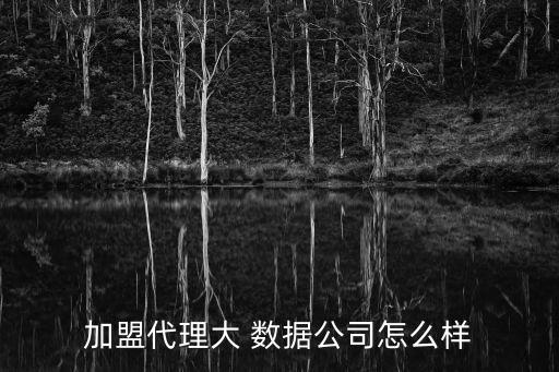 大數(shù)據(jù) 微服務(wù)有限公司怎么樣,大微國(guó)際數(shù)據(jù)投資管理有限公司