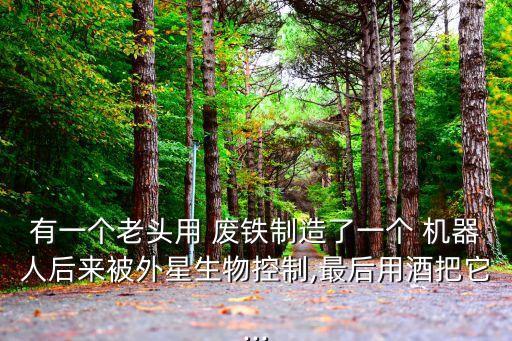 有一個(gè)老頭用 廢鐵制造了一個(gè) 機(jī)器人后來被外星生物控制,最后用酒把它...