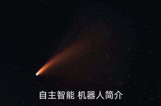 自主智能 機(jī)器人簡介