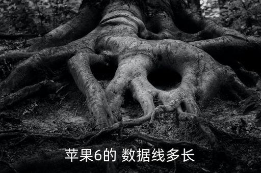 ipone6手機原裝數(shù)據(jù)線