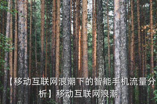 【移動互聯(lián)網(wǎng)浪潮下的智能手機流量分析】移動互聯(lián)網(wǎng)浪潮
