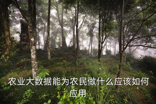 農業(yè)大數(shù)據(jù)分析平臺,spss農業(yè)數(shù)據(jù)分析