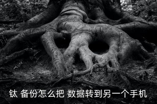 鈦 備份怎么把 數(shù)據(jù)轉(zhuǎn)到另一個(gè)手機(jī)