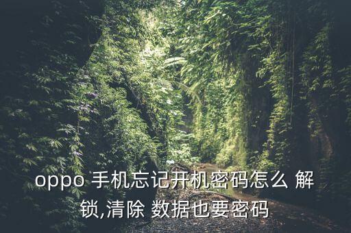 oppo 手機(jī)忘記開機(jī)密碼怎么 解鎖,清除 數(shù)據(jù)也要密碼