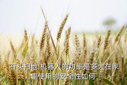  石頭掃地 機器人的功率是多大在家里使用的安全性如何