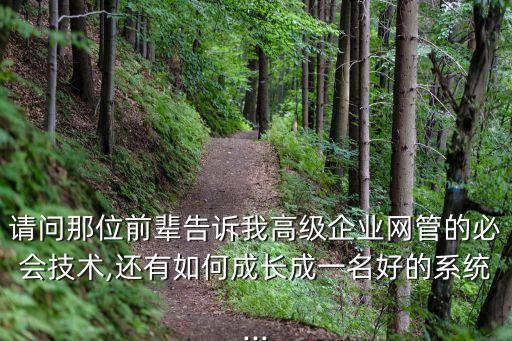請問那位前輩告訴我高級企業(yè)網(wǎng)管的必會技術(shù),還有如何成長成一名好的系統(tǒng)...