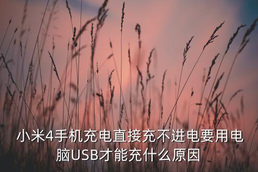  小米4手機充電直接充不進電要用電腦USB才能充什么原因