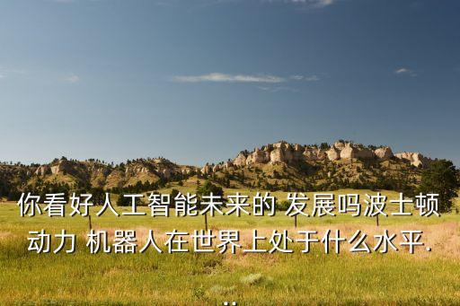 美國的機器人發(fā)展,美國機器人發(fā)展到這種程度了是真的嗎