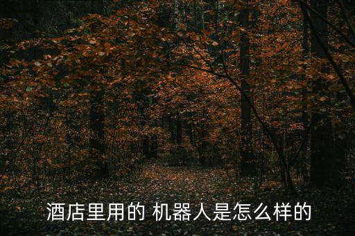  酒店里用的 機(jī)器人是怎么樣的
