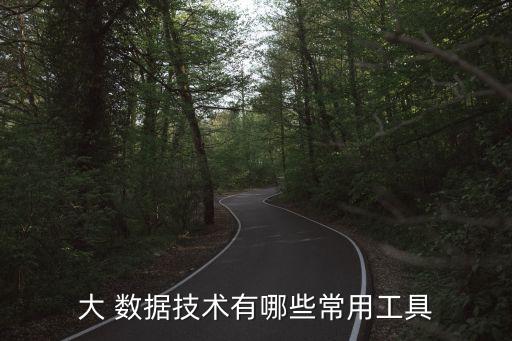 大數(shù)據(jù)  涉及的軟件,有沒(méi)有大數(shù)據(jù)的軟件