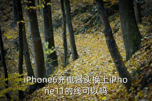 iPhone6充電器頭換上iPhone11的線可以嗎