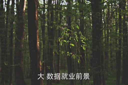 大 數(shù)據(jù)就業(yè)前景
