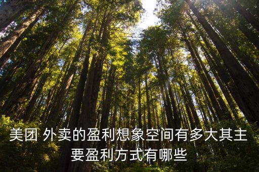 美團(tuán) 外賣的盈利想象空間有多大其主要盈利方式有哪些