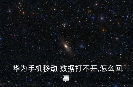  華為手機(jī)移動(dòng) 數(shù)據(jù)打不開(kāi),怎么回事