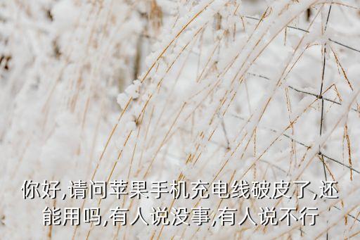 你好,請問蘋果手機(jī)充電線破皮了,還能用嗎,有人說沒事,有人說不行