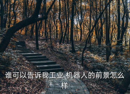 誰可以告訴我工業(yè) 機(jī)器人的前景怎么樣