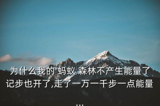 為什么我的 螞蟻 森林不產(chǎn)生能量了記步也開了,走了一萬一千步一點能量...