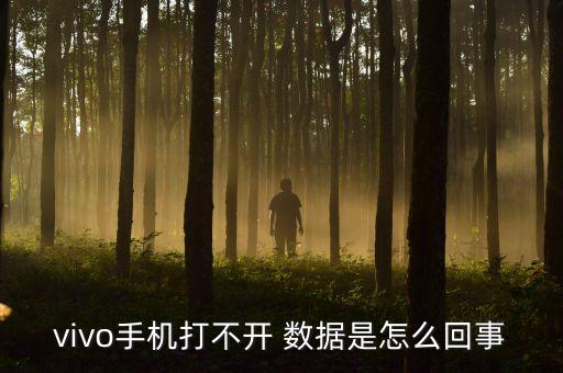 vivo手機打不開 數(shù)據(jù)是怎么回事