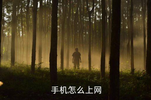  手機怎么上網(wǎng)