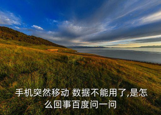 手機(jī)突然移動 數(shù)據(jù)不能用了,是怎么回事百度問一問