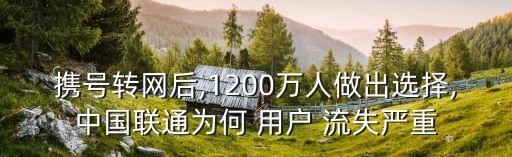 攜號(hào)轉(zhuǎn)網(wǎng)后,1200萬人做出選擇,中國聯(lián)通為何 用戶 流失嚴(yán)重