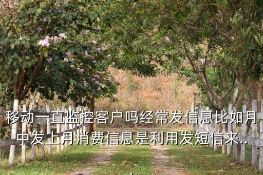 移動(dòng)一直監(jiān)控客戶嗎經(jīng)常發(fā)信息比如月中發(fā)上月消費(fèi)信息是利用發(fā)短信來(lái)...