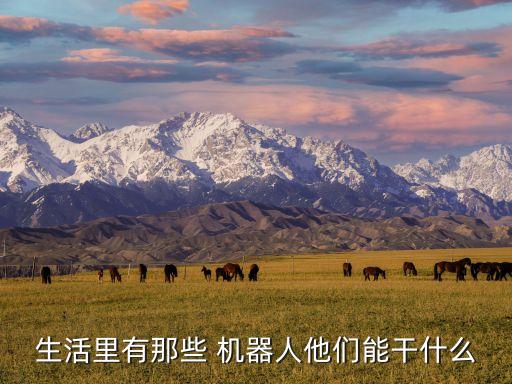 生活里有那些 機器人他們能干什么