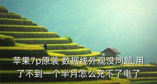 蘋果7p原裝 數(shù)據(jù)線外觀沒問題,用了不到一個半月怎么充不了電了