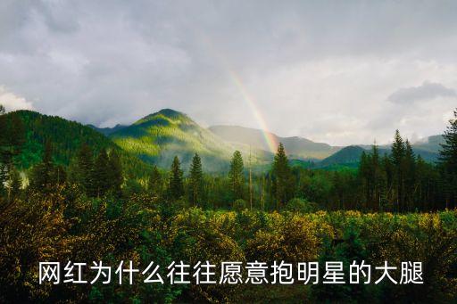  網(wǎng)紅為什么往往愿意抱明星的大腿