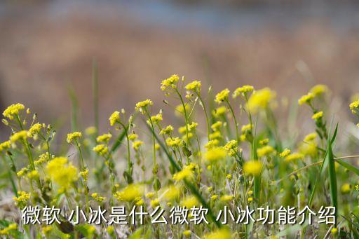 微軟 小冰是什么微軟 小冰功能介紹