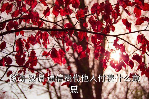 數(shù)據(jù)業(yè)務(wù)通信費(fèi)