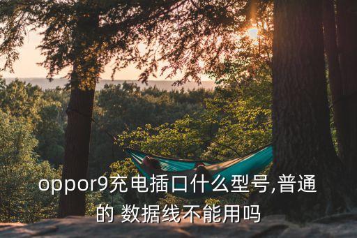 vivox9plus數(shù)據(jù)線能用