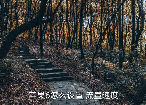  蘋果6怎么設(shè)置 流量速度